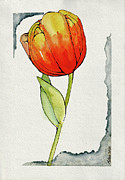 Orange and Yellow Tulip Painting by Allie Lily Orange and Yellow Tulip Painting by Allie Lily