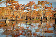 Orange Glow Reflection Photograph by Iris Greenwell