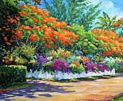 Orange Poincianas Painting by John Clark