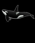 Orca Killer Whale Digital Art by Flippin Sweet Gear