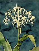 Orchid Etude - Botanical study by Augusto Giacometti Painting by Augusto Giacometti