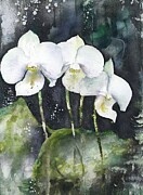 Orchids 2 Painting Flower Nature Orchid Orchids Bush bright green nature painting pink plants summer watercolor bud flora flower handpainted leaf paper petal stem texture white art artistic artwork Painting by N Akkash