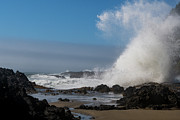 Oregon Coast 2 Photograph by Mary Hone