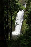 Oregon Drop Photograph by JJ Whitley Oregon Drop Photograph by JJ Whitley