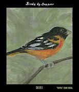Oriole Painting by Tim Nyberg