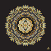 Ornativo Vero Circulus No 4278 Digital Art by Alan Bennington