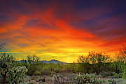 Oro Valley Sunset h1602 Photograph by Mark Myhaver
