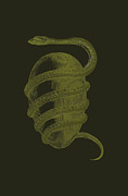 Orphic Egg 1774 Painting by Unknown