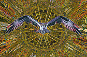 Osprey design  Mixed Media by David McKinney