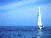 Osprey Sail Digital Art by Deb Bryce