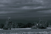Overcast Photograph by Marinko Shlakeski