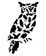 Owl Bird Forrest Wildlife Animal Owls Silhouette Digital Art by Toms Tee Store