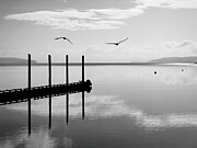 Pacific Northwest Serenity Photograph by Mary Lee Dereske