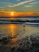 Pacific Sunset Photograph by Leslie Brashear