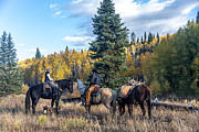 Pack horses high in the Rockies Photograph by JBK Photo Art