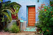 Paint Me Happy Photograph by Carmen Kern