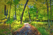 Painted Forest Photograph by Jim Signorelli Painted Forest Photograph by Jim Signorelli