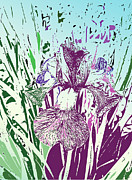 Painted Iris Digital Art by Bentley Davis Painted Iris Digital Art by Bentley Davis