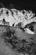 Painted Mine 9318 BW Photograph by Rick Perkins