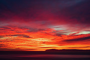 Painted Sky sunset over Catalina Photograph by Abigail Diane Photography