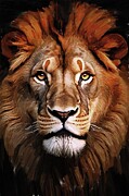 Painting of lion king face Digital Art by Gerry Martinez Nature Wall Art Large Prints