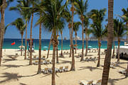 Palms and Beach in Mexico Photograph by Brigitte Blanchette Thompson Palms and Beach in Mexico Photograph by Brigitte Blanchette Thompson