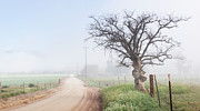 Pamo Valley Dirt Road Photograph by William Dunigan