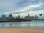 Panama City Reflection Photograph by Leslie Brashear