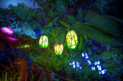 Pandora - World of Avatar Photograph by Mark Andrew Thomas Pandora - World of Avatar Photograph by Mark Andrew Thomas