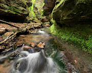 Parfrey's Glen Photograph by Nate Brack