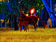 Paris And Foal At Sunset Mixed Media by Joan Stratton