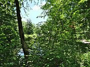 Park With Bridge in Distance Photograph by Susan Savad Park With Bridge in Distance Photograph by Susan Savad