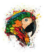 Parrot portrait painting on white background, Macaw parrot Painting by Nadia CHEVREL Parrot portrait painting on white background, Macaw parrot Painting by Nadia CHEVREL