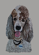 Parti-Colored Poodle Drawing by Terri Mills Parti-Colored Poodle Drawing by Terri Mills