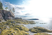 Partridge Island Beach Photograph by Alan Norsworthy