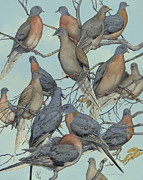 Passenger Pigeon Flock Up Close Painting by Barry Kent MacKay Passenger Pigeon Flock Up Close Painting by Barry Kent MacKay