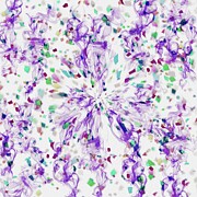 Purple Passion Digital Art by Cherry Vercher