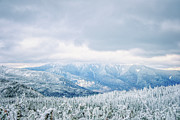 Pastel Peaks, Franconia Ridge In Winter. Photograph by Jeff Sinon Pastel Peaks, Franconia Ridge In Winter. Photograph by Jeff Sinon
