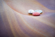 Pastel Pebbles Photograph by Anita Nicholson