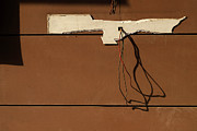 Patch vs Wire Shadow Photograph by Prakash Ghai