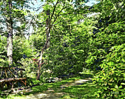 Path in the Park Photograph by Susan Savad Path in the Park Photograph by Susan Savad