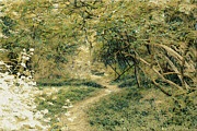Path through the Forest Photograph by Bentley Davis Path through the Forest Photograph by Bentley Davis