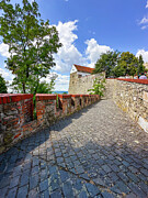 Path to the Castle Photograph by Leslie Brashear