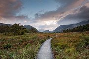 Pathway to Castle Cragg, the Lake District, Cumbria, England Photograph by Sarah Howard Pathway to Castle Cragg, the Lake District, Cumbria, England Photograph by Sarah Howard