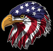 Patriotic Bald Eagle Head Proud Bird Of Prey Digital Art by Mister Tee