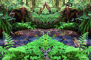 Peace in the Woods with Critters Photograph by Ben Upham III
