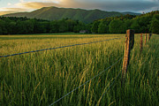 Peaceful Morning Photograph by Melissa Southern