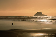 Peaceful Solitude Photograph by Mike Lee Peaceful Solitude Photograph by Mike Lee