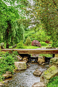 Peaceful Spring Creek Photograph by Jennifer White