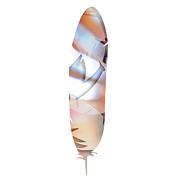 Peachy Feather Photograph by Sharon Popek